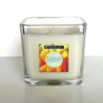 Summer Melon Soy Candle